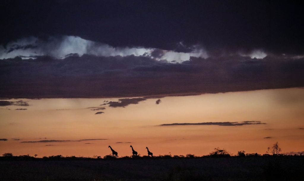 Kenya Photography Expedition