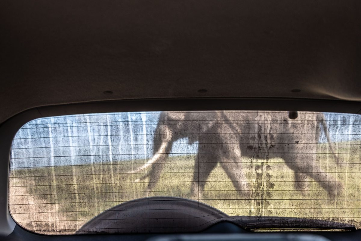 Kenya-11