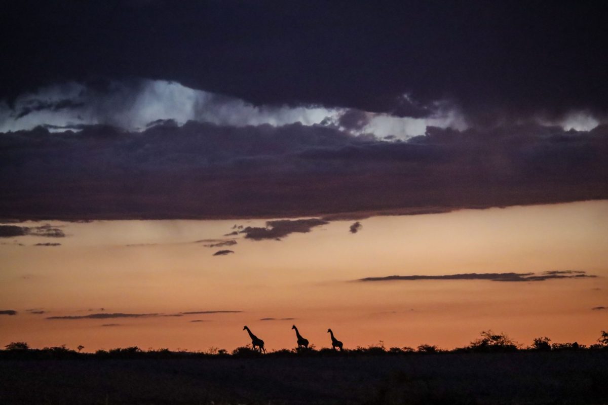 Kenya-2