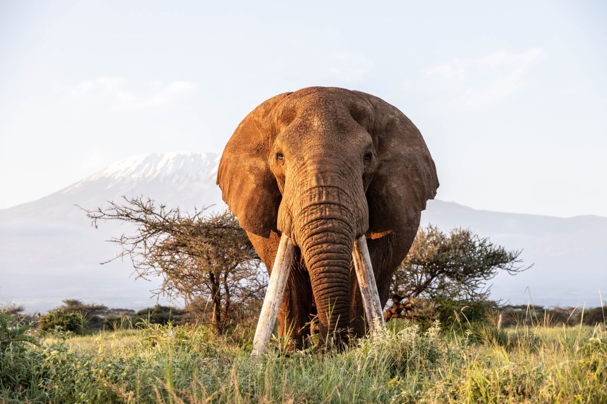 Kenya-4