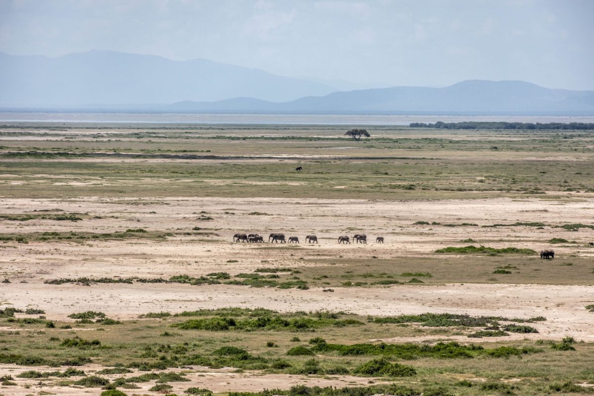 Kenya-7