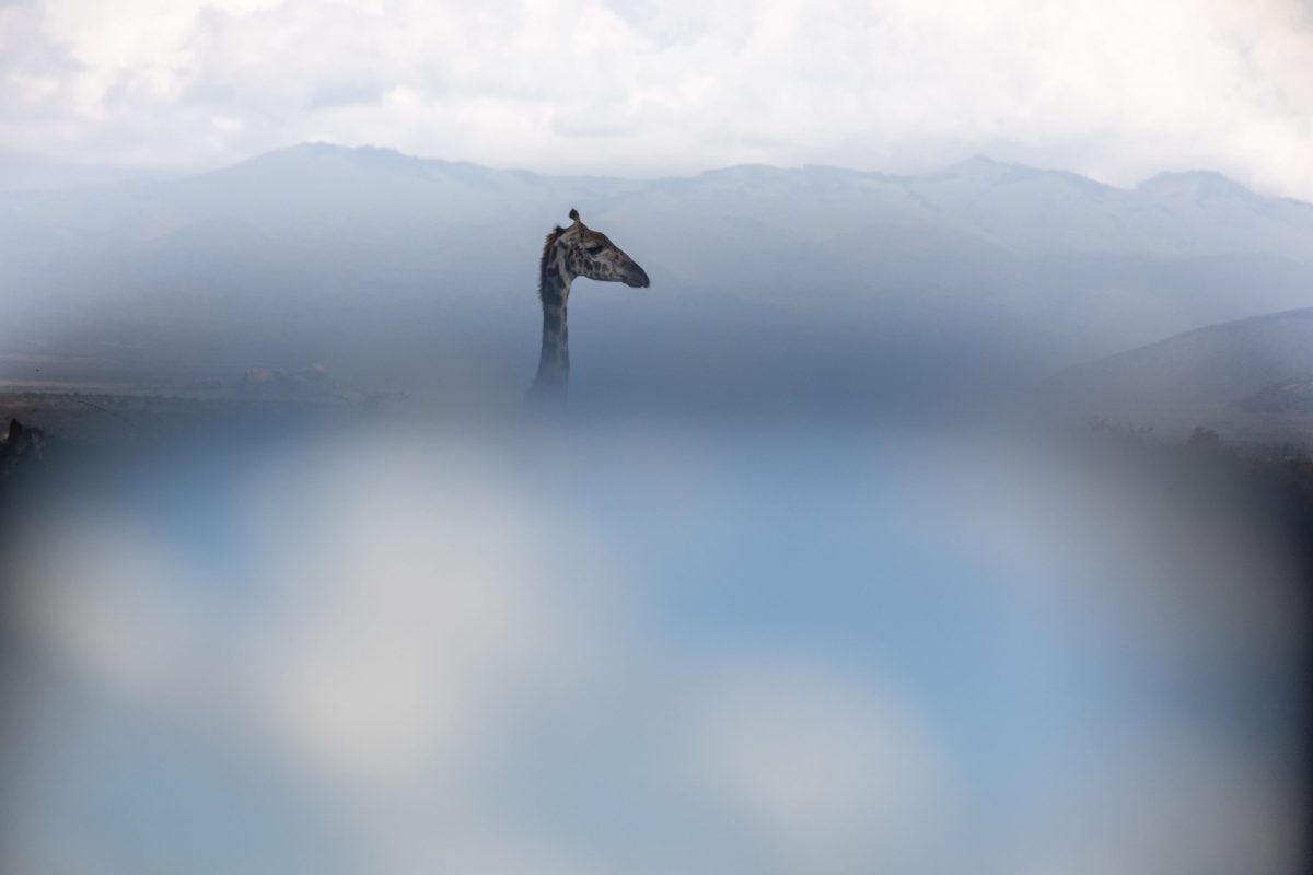 Kenya-9